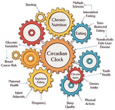 Editorial: Chrononutrition and health